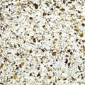 Terrazzo Glass Tile - TG2236